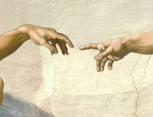 The First Adam vs The Last Adam!